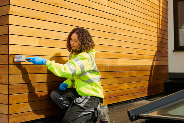 Best Insulated Siding Installation  in Vado, NM