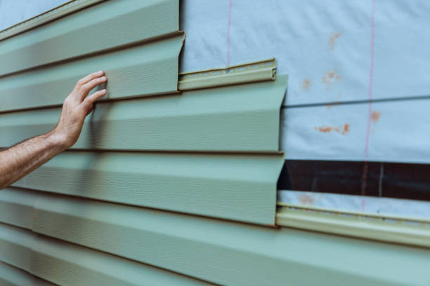 Best Brick Veneer Siding  in Vado, NM
