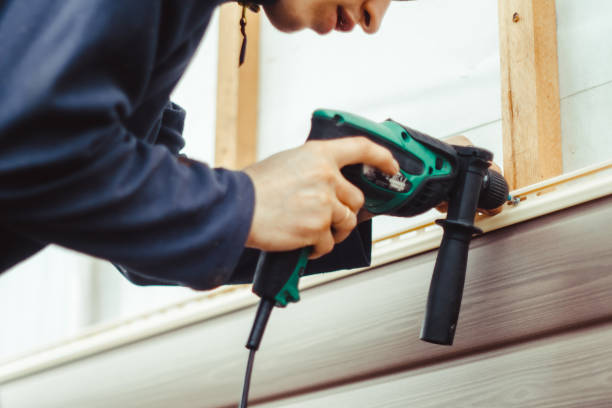Best Custom Trim and Detailing for Siding  in Vado, NM